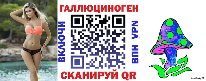 Купить где  Суджа  Псилоцибиновые грибы мицелий 